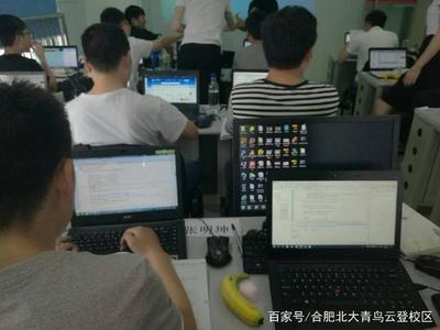 汽車(chē)維修與計(jì)算機(jī)軟件開(kāi)發(fā) 哪個(gè)職業(yè)前景更廣闊？